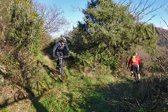 vtt en ardèche : vtt foret barres