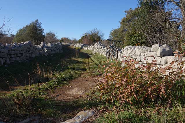 vtt en ardèche : vtt gras saint alban auriolles