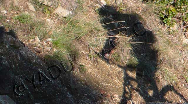 vtt en Ardèche : Croix St André Saint Martin