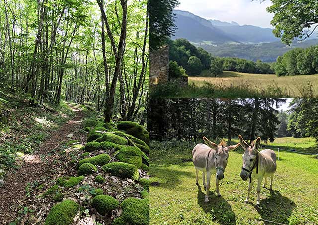 vtt en Drôme : Le plateau des Coulmes