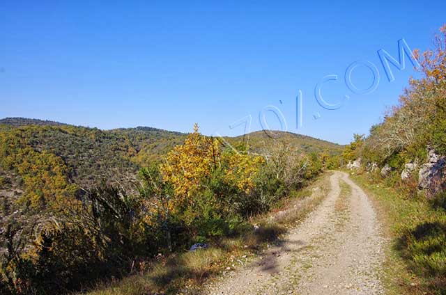 vtt en Ardèche : Les Sallèles - Bois Sauvage