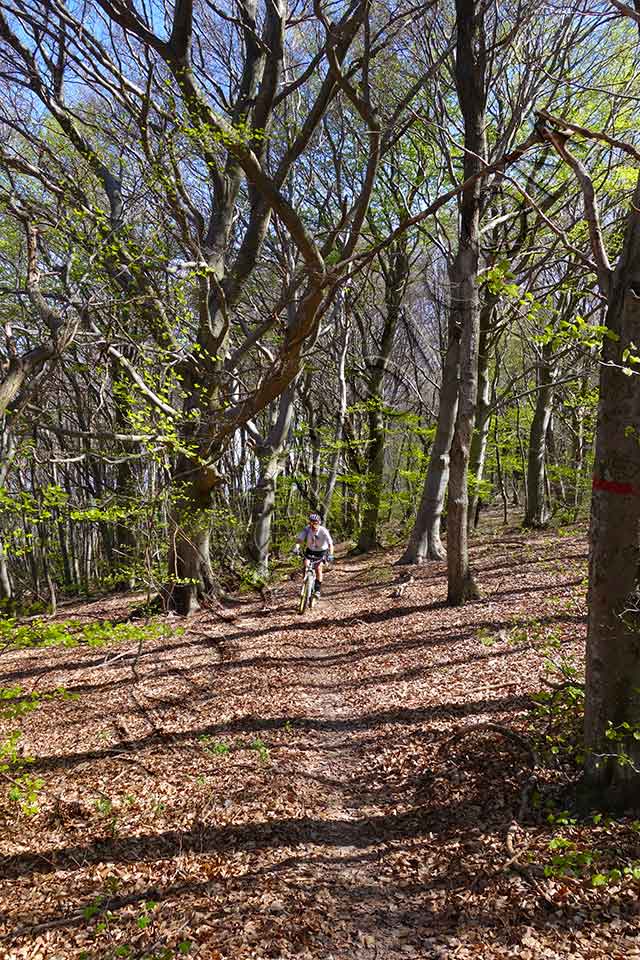 vtt en ardèche : vtt marsanne grande limite