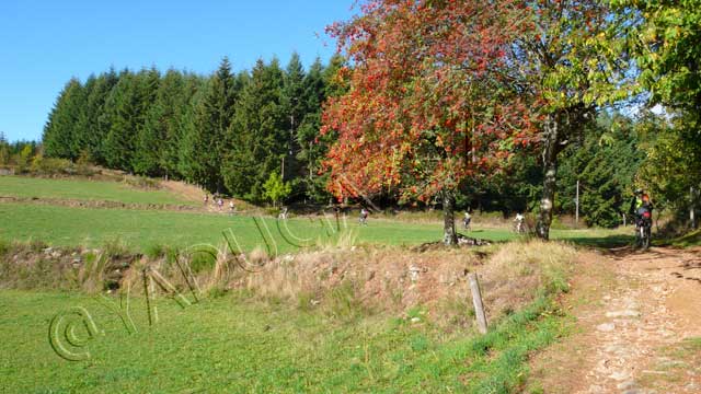 vtt en ardèche : vtt mezenc