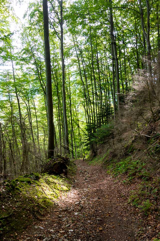 vtt en Drôme : La vallée du Léoncel