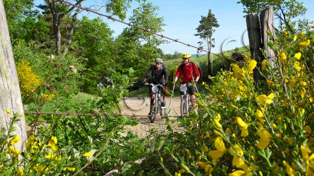 vtt en ardèche : vtt pilat