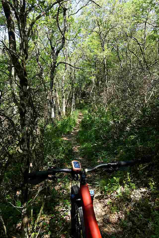 vtt en Drôme : Autour du Roubion