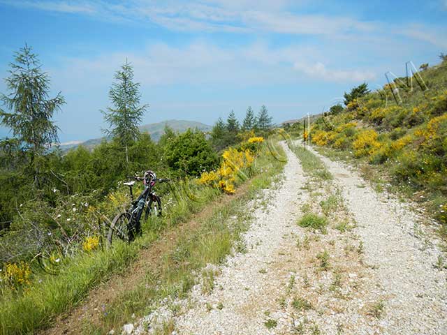 vtt en ardèche : vtt reauville