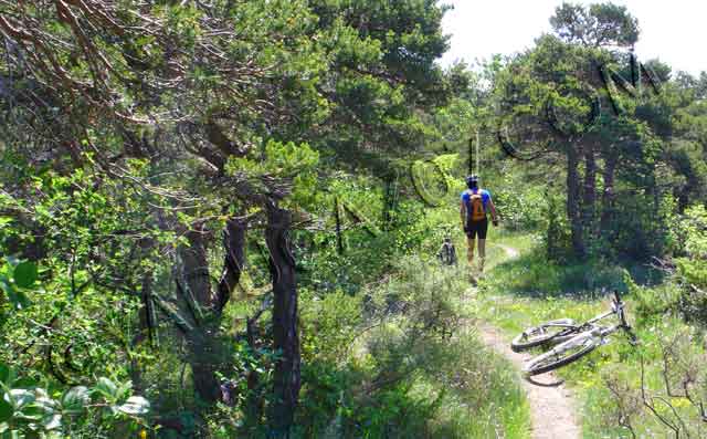 vtt en ardèche : vtt rochegude