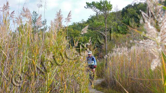 vtt en Ardèche :  autour de Vallon Pont d'Arc, circuits modulables