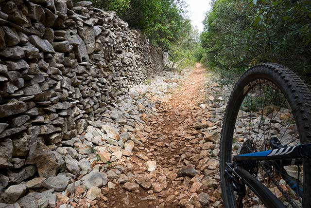 vtt en ardèche : vtt sentier perdu ibie