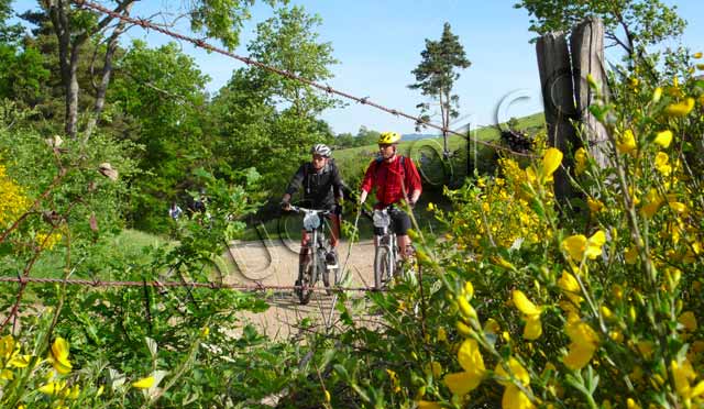 vtt en ardèche : vtt st ferreol 30 pas