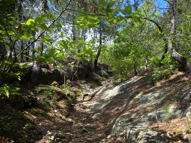 vtt en Ardèche : Descentes de Charray et Bois Laville